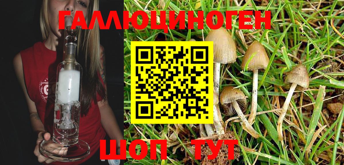 Галлюциногенные грибы Magic Shrooms Алексеевка