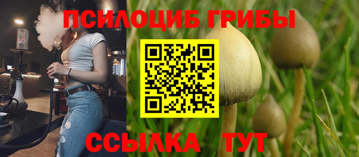 Алексеевка  закладка  Вход с VPN  Галлюциногенные грибы прущие грибы  Галлюциногенные грибы MAGIC MUSHROOMS 